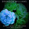 Stream & download Don't Give Up On Love (feat. Eric Roberson) - Single