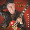 Wadesda (feat. Larry Carlton)