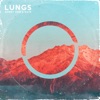 Lungs - Single