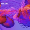 Hapha - Aguas Vivas