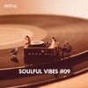 Soulful Vibes, Vol. 09