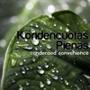 Condensed Convenience - EP