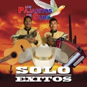 Solo Éxitos artwork