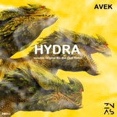 Hydra artwork