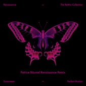 Perfect Motion (Patrice Bäumel Renaissance Remix) artwork