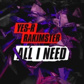 All I Need (feat. Rakimster) artwork