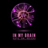 In My Brain (feat. Christelle Constantin) [Extended] - Single