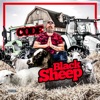 Blacksheep