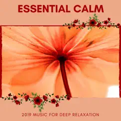 Essential Calm - 2019 Music For Deep Relaxation by Mystical Guide, The Redd One & Serenity Calls album reviews, ratings, credits