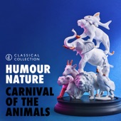 Carnival of The Animals: XII. Fossils artwork