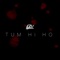Tum Hi Ho (Cover) artwork