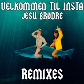 Velkommen Til Insta (feat. Tavs & MadEye) [Remix] artwork