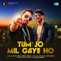 Mika Singh & Nawaz Shaikh - Tum Jo Mil Gaye Ho - Single artwork