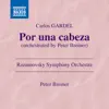 Por una cabeza (Arr. P. Breiner for Orchestra) - Single album lyrics, reviews, download