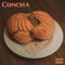 Concha (feat. TheConnect) - Suave lyrics