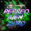 Stream & download Perreo Bien Duro - Single