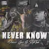Never Know (feat. RobTwo) - Single album lyrics, reviews, download