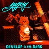Develop in the Dark - EP
