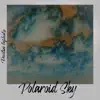 Stream & download Polaroid Sky