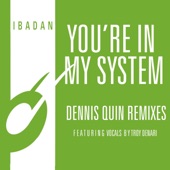 You're in My System (Dennis Quin Remixes) - EP artwork
