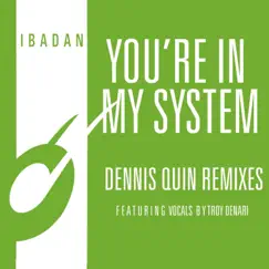 You're in My System (feat. Troy Denari) [Dennis Quin Club Mix] Song Lyrics