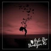 Öyle Bir Yerdeyim Ki artwork