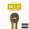 M.I.C. (Metaphor Is Crucial)