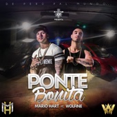 Ponte Bonita (feat. Wolfine) artwork
