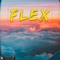 Flex - Lil Sixxx lyrics