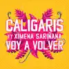 Stream & download Voy a Volver (feat. Ximena Sariñana) - Single