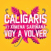 Voy a Volver (feat. Ximena Sariñana) artwork