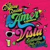 Amor A Primera Vista (feat. Horacio Palencia) - Single