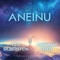 Aneinu (feat. Avraham Fried) artwork