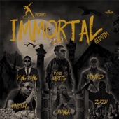 Immortal Riddim Medley (feat. Vybz Kartel, Masicka, Demarco, Munga Honorable, Ding Dong & Zuzu) [Medley Mix] artwork