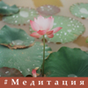 #Медитация: Глубокая внимательность, Буддийская музыка, Успокаивающая природа - Лотос Медитационный Клуб