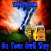 Go Your Own Way - Single, 2019