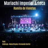 Ramito de Violetas (feat. Embrujo Flamenco, Nene Drums & Fernando Cortez) artwork