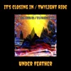 It's Closing in / Twylight Ride - Single