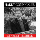 Stars Still Shine artwork