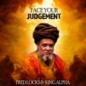 Face Your Judgement Dub artwork