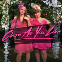 Tasha Taylor Johnson - Clean As You Like Soundtrack artwork