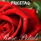 Rose Petals - PriceTag lyrics
