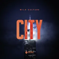 City - Single by Wild Culture album reviews, ratings, credits