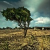 600 Miles - When I Get Old