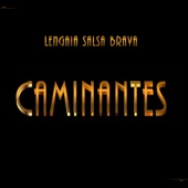 Caminantes artwork