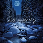 Quiet Winter Night: An Acoustic Jazz Project artwork