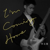 I'm Coming Home artwork