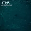 Stnr - Single album lyrics, reviews, download