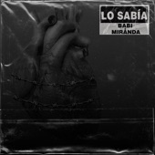 Lo sabía artwork