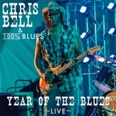 Year of the Blues (Live) artwork